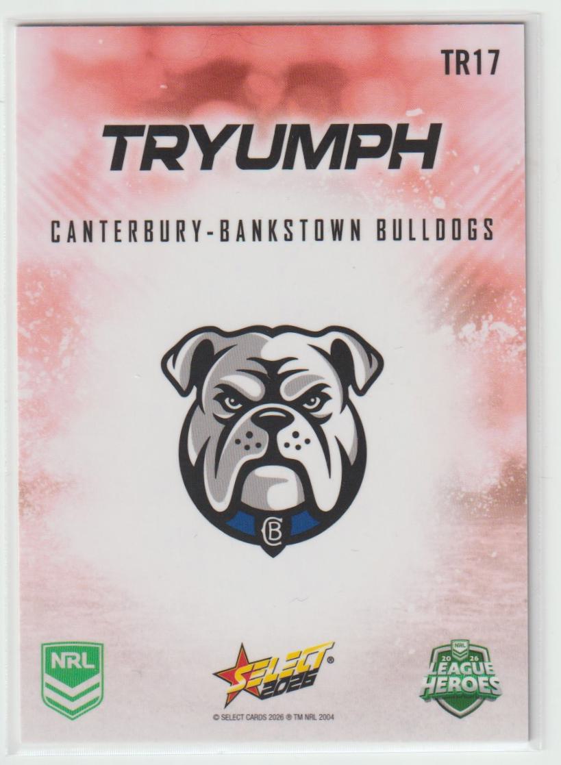 TR017 Canterbury Bankstown Bulldogs Team