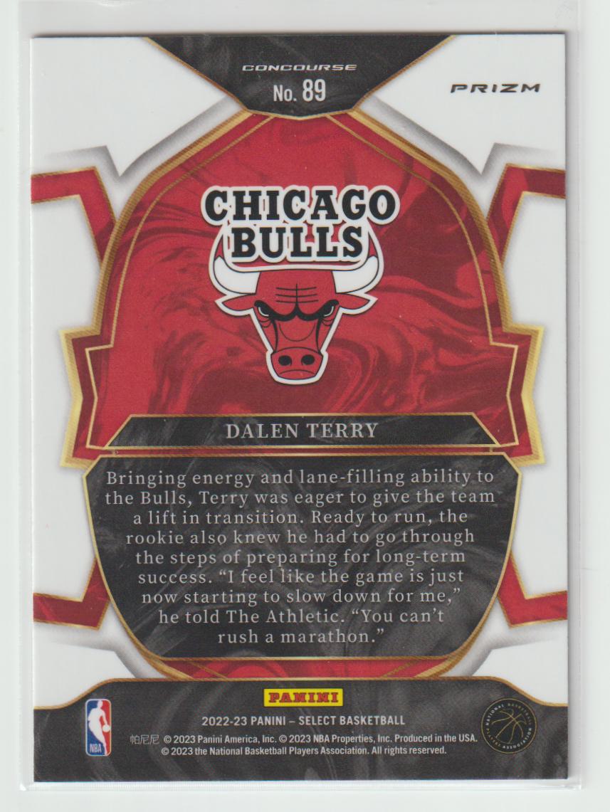 089 Dalen Terry Chicago Bulls Red Wave