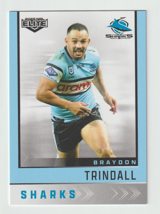 036 BRAYDON TRINDALL
