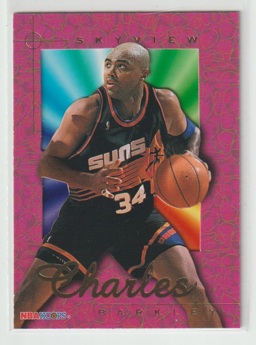 1995/96 NBA Hoops Skyview Complete set of 10 cards