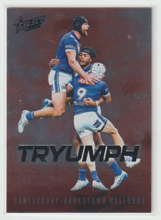 TR017 Canterbury Bankstown Bulldogs Team