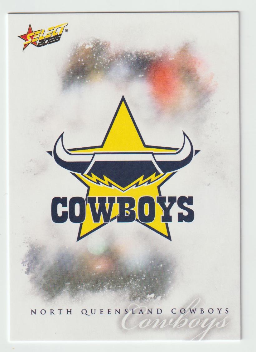 118 North Queensland Cowboys Logo