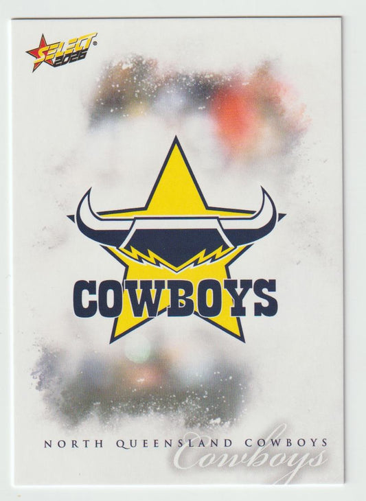 118 North Queensland Cowboys Logo