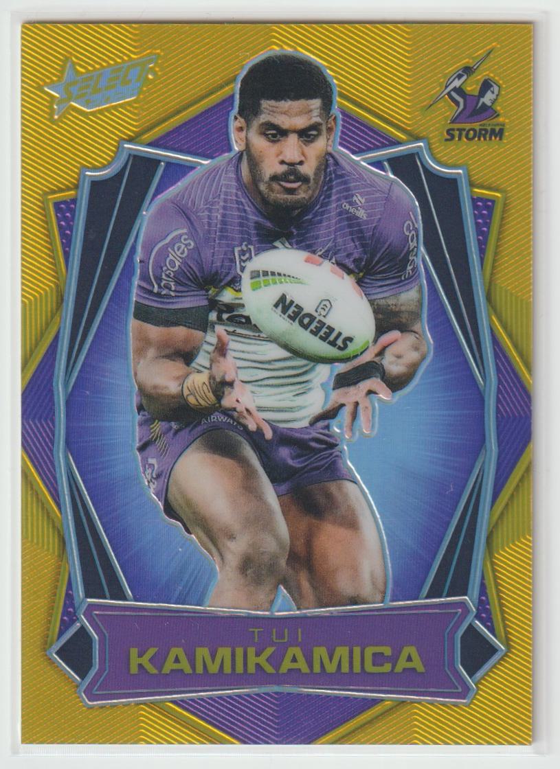 L090 Tui Kamikamica