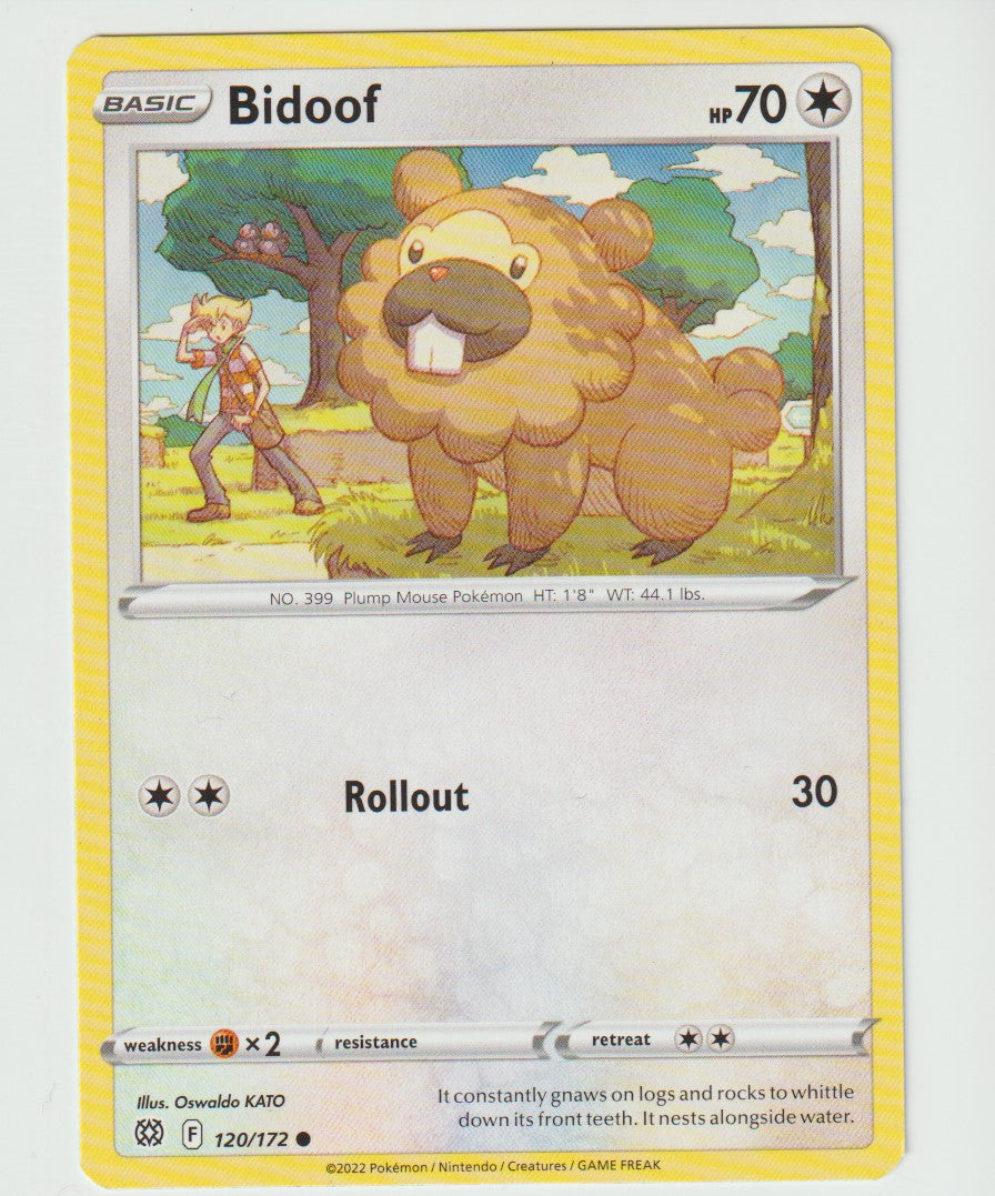 120/172 Bidoof Common