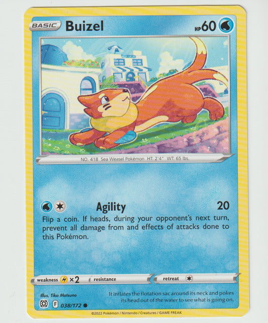 038/172 Buizel Common