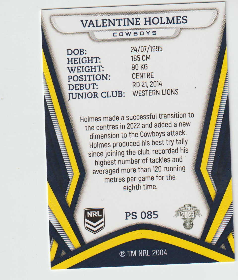 PS 085 VALENTINE HOLMES